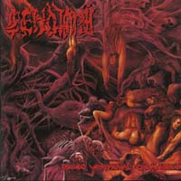 Cenotaph — Pseudo Verminal Cadaverium